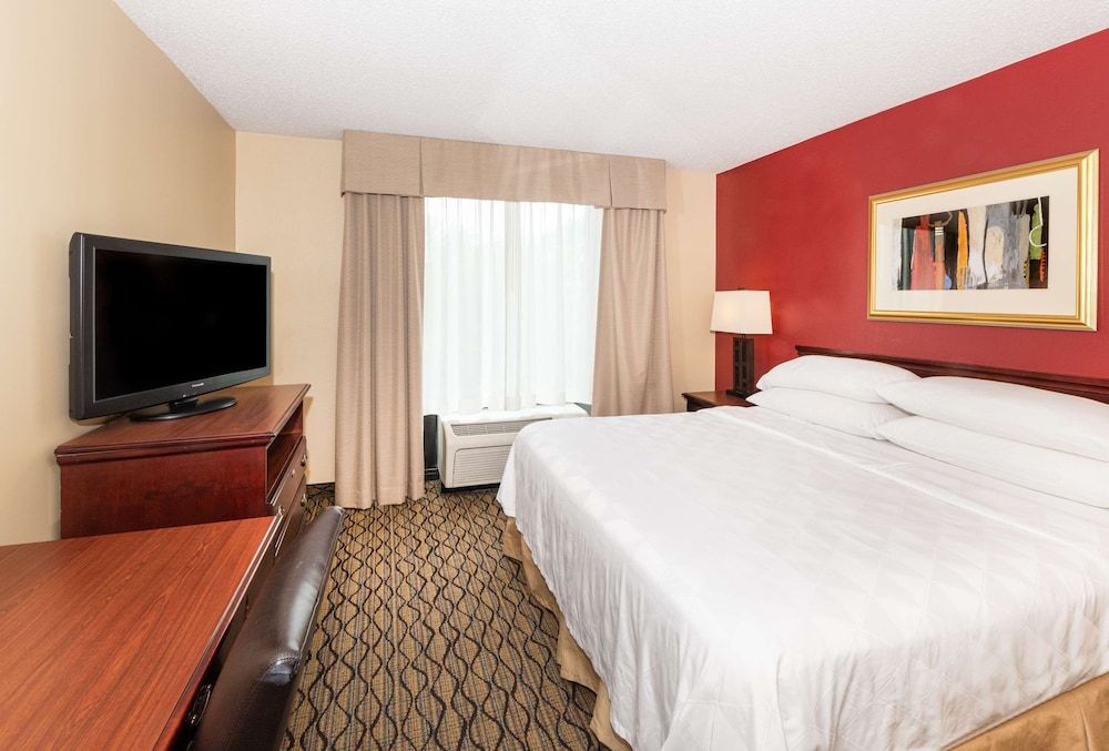Suite, 1 King Bed, Non Smoking, Refrigerator & Microwave (with Sofabed)