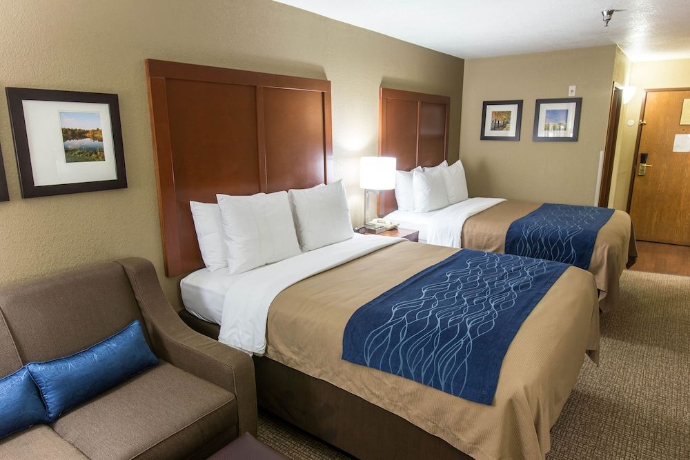 Room, 1 King Bed, Accessible, Non Smoking