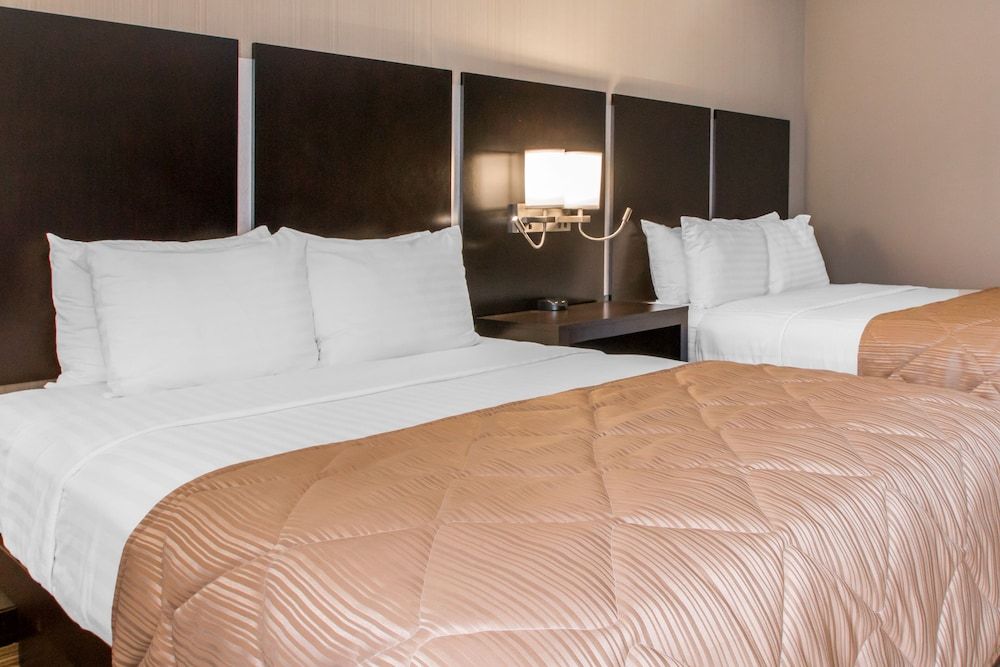 Signature Room, 2 Queen Beds, Kitchen