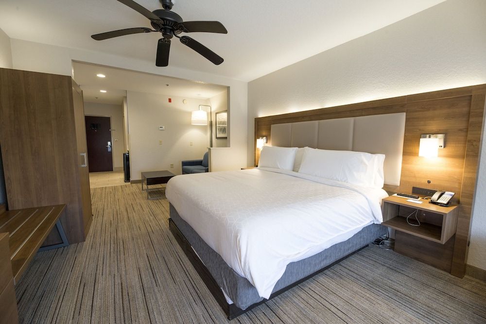 Suite, 1 King Bed (Leisure)
