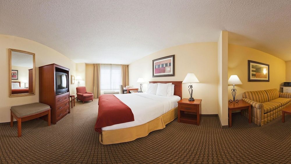 Suite, 1 King Bed with Sofa bed