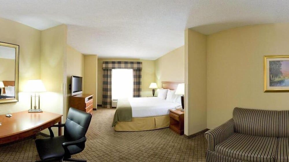 Suite, 1 King Bed with Sofa bed
