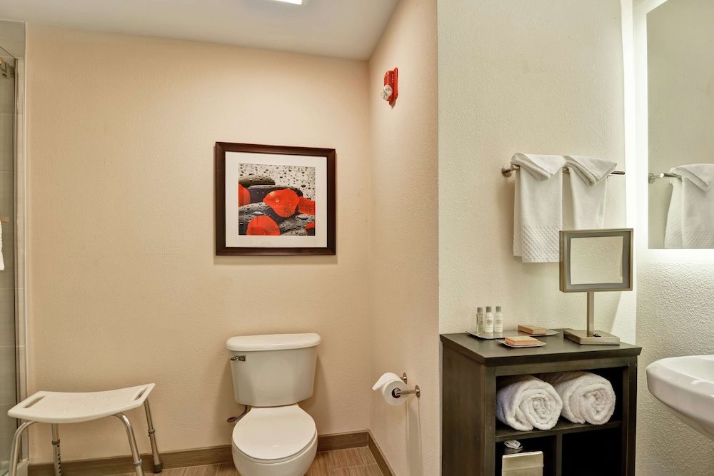 Room, 1 King Bed, Accessible (Mobility & Hearing, Roll-in Shower)