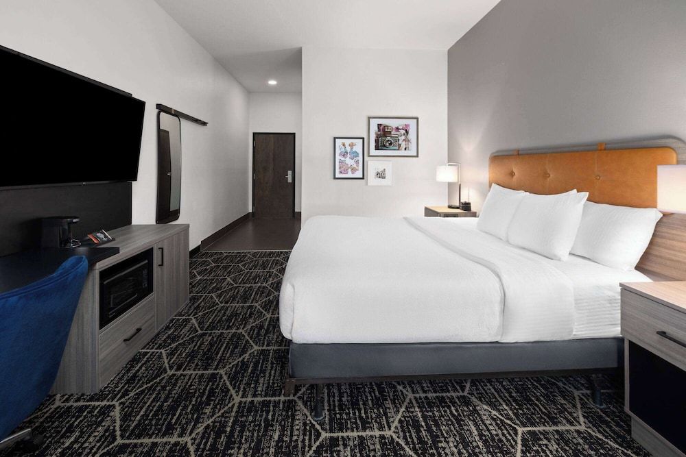 Room, 1 King Bed, Mobility Accessible, Non Smoking (Roll-in Shower)
