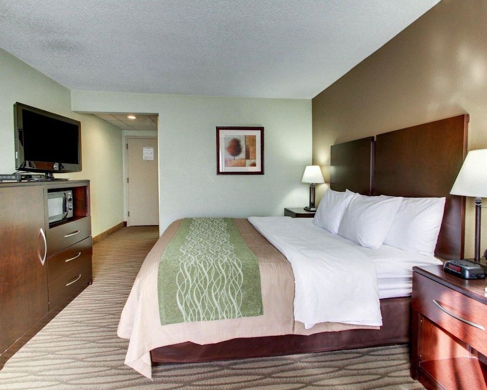 Standard Room, 1 King Bed, Non Smoking