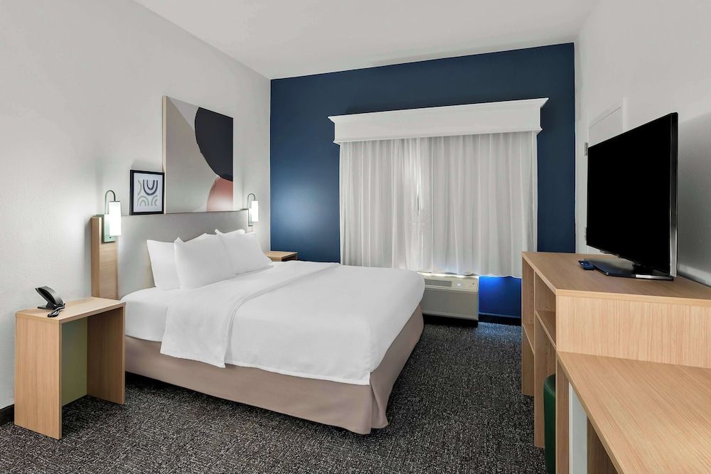 Room, 1 King Bed, Accessible (Mobility & Hearing, Roll-in Shower)