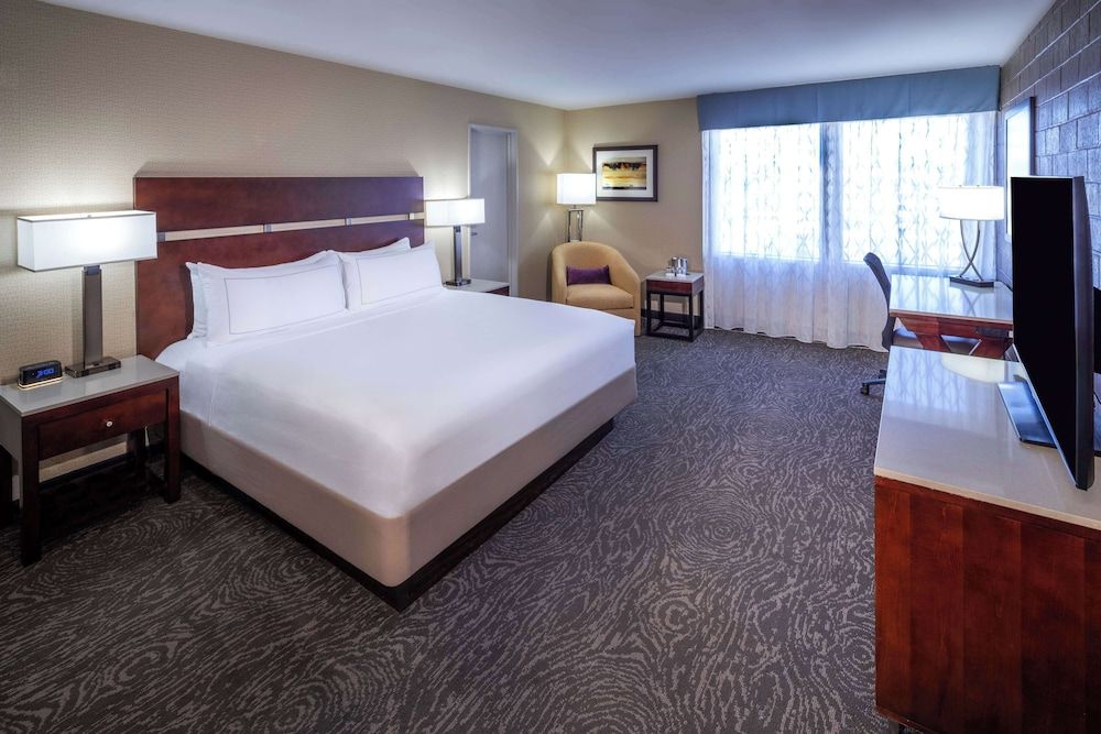 Room, 1 King Bed