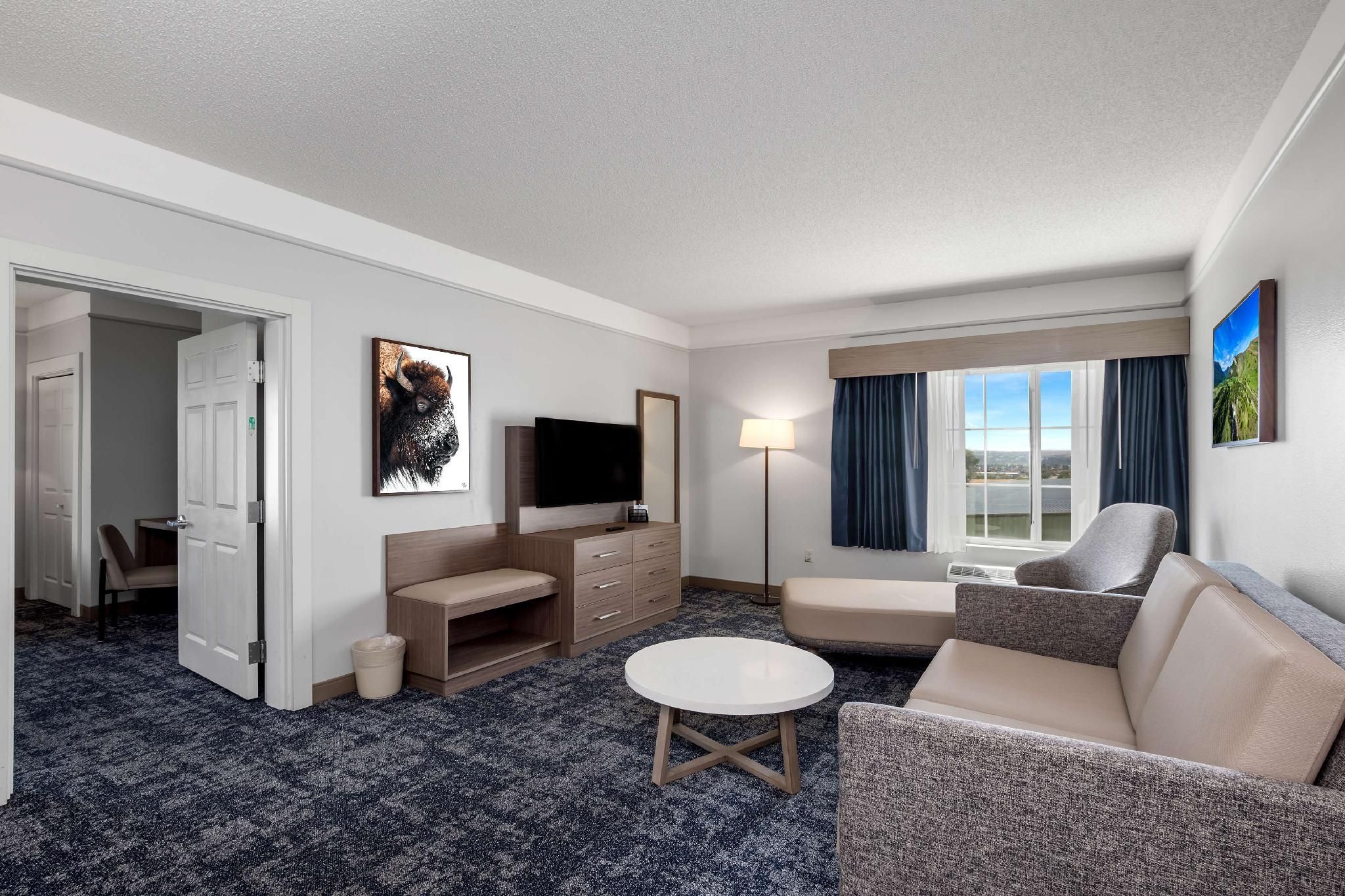 Suite - 1 King Bed, Nonsmoking, One Bedroom, Sofabed, Living Room, Lounge Chair