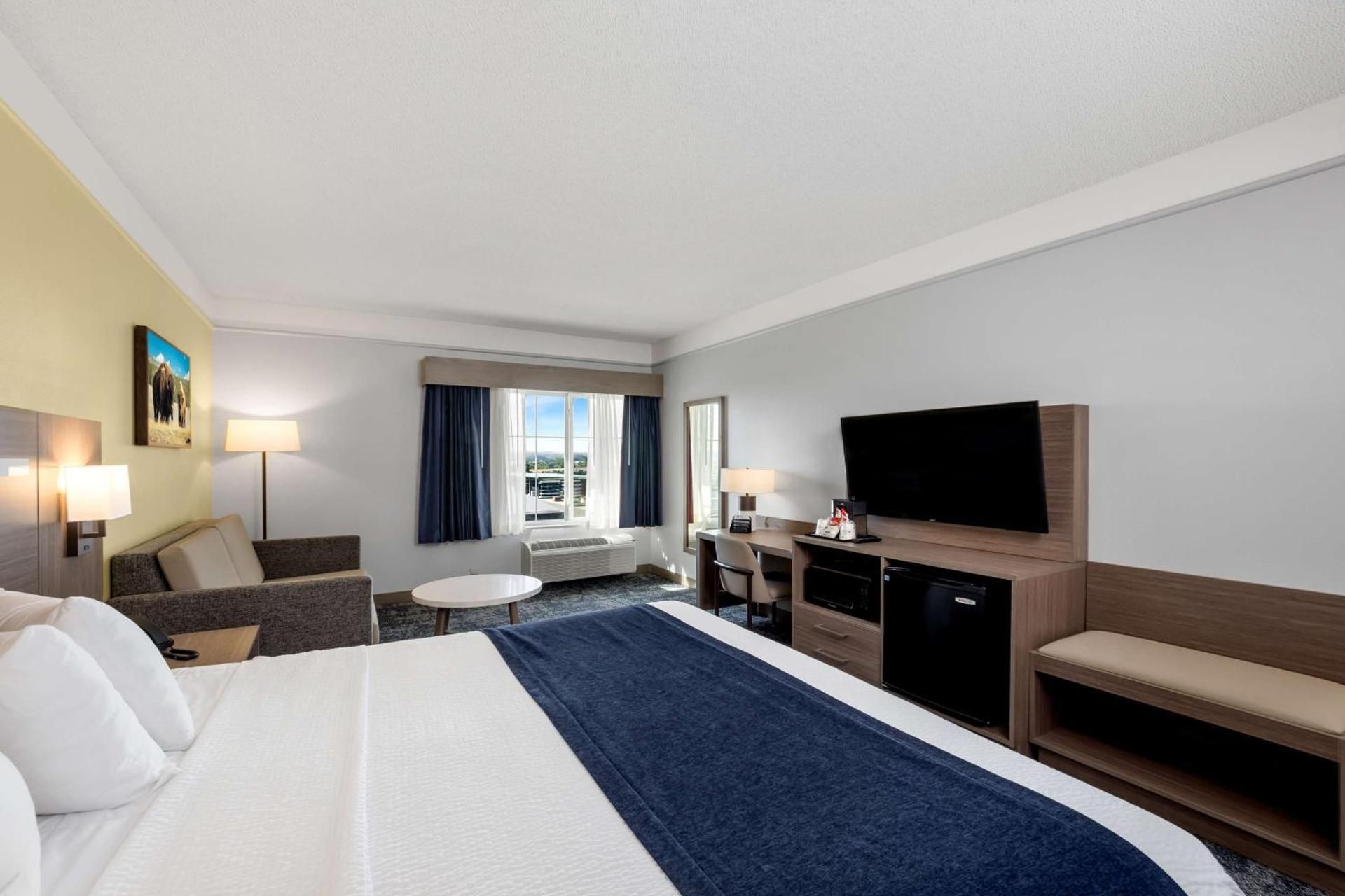 1 King Bed, Nonsmoking, Sofabed
