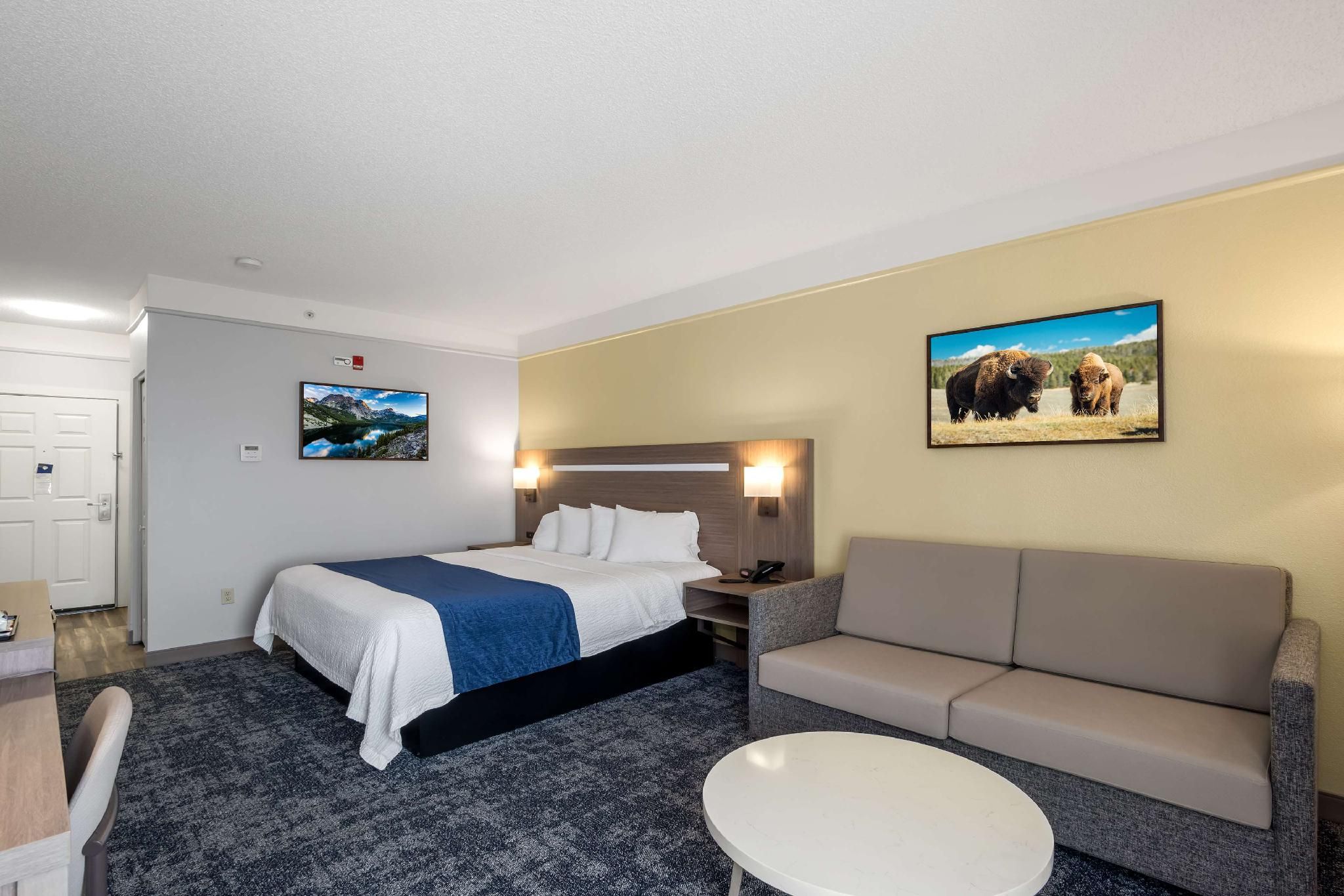 1 King Bed, Nonsmoking, Larger Room, Sofabed, Sitting Area
