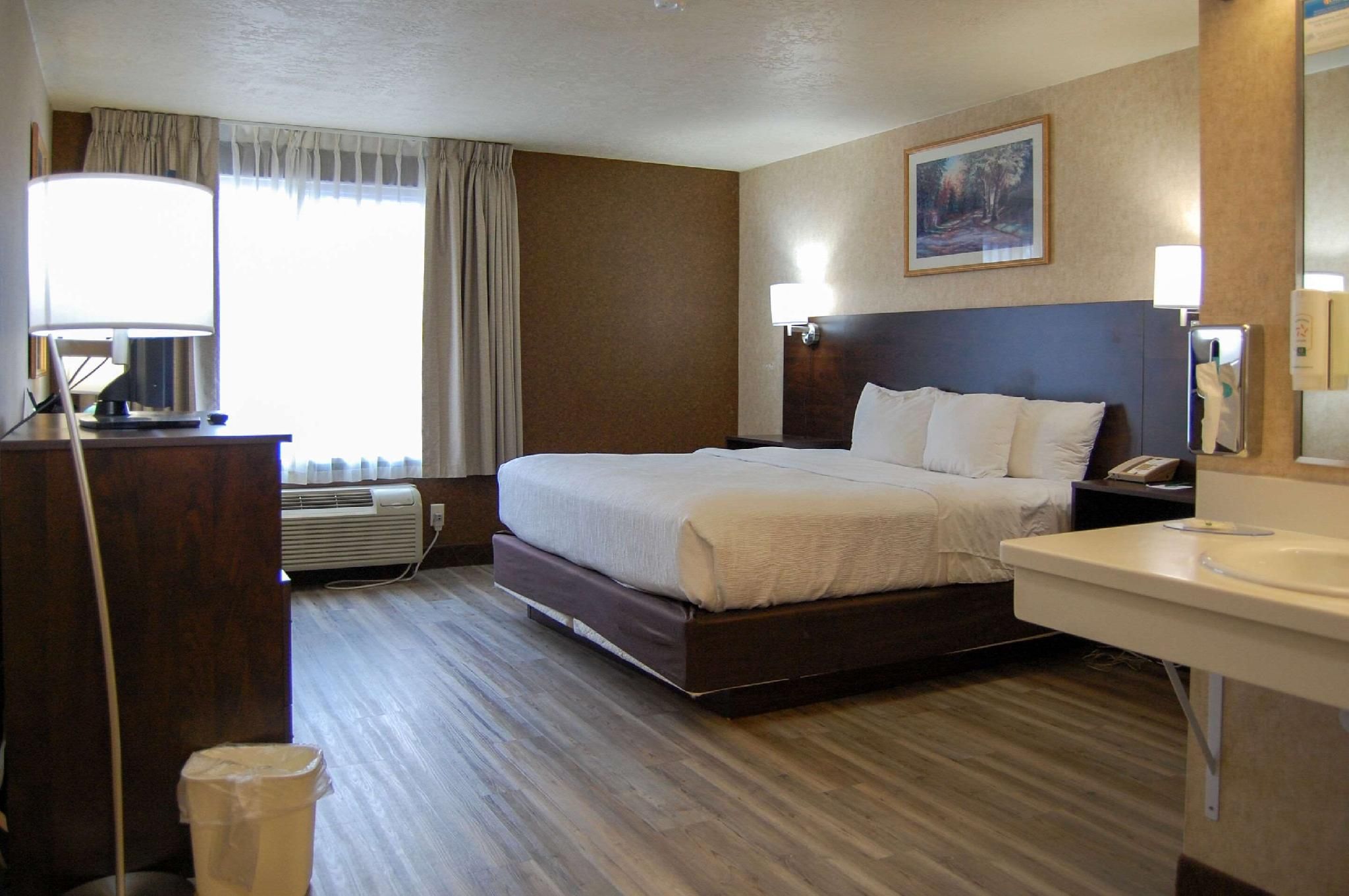 1 King Bed, Business Room, Nonsmoking, Accessible