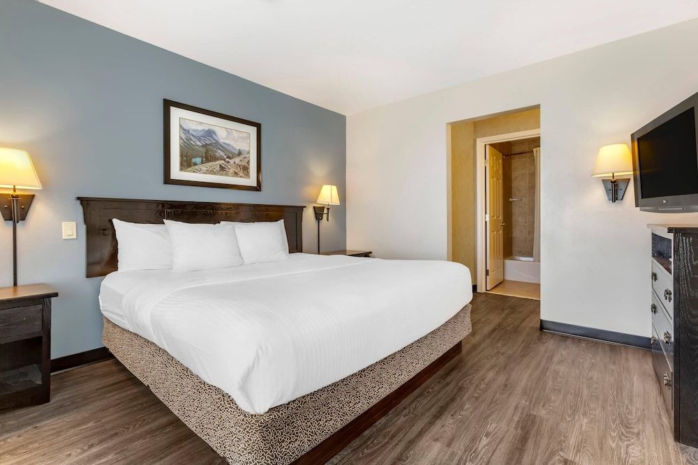Room, 1 King Bed, Accessible, Non Smoking