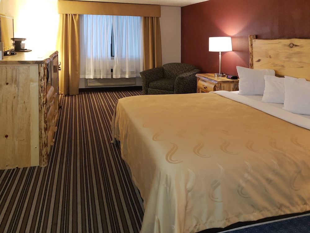 Deluxe Room, 1 King Bed, Non Smoking, Refrigerator & Microwave