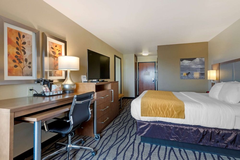 Standard Room, 1 King Bed, Non Smoking