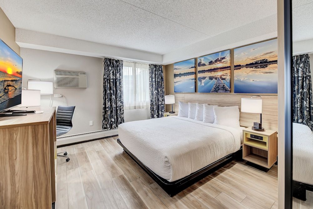 Room, 1 King Bed, Accessible