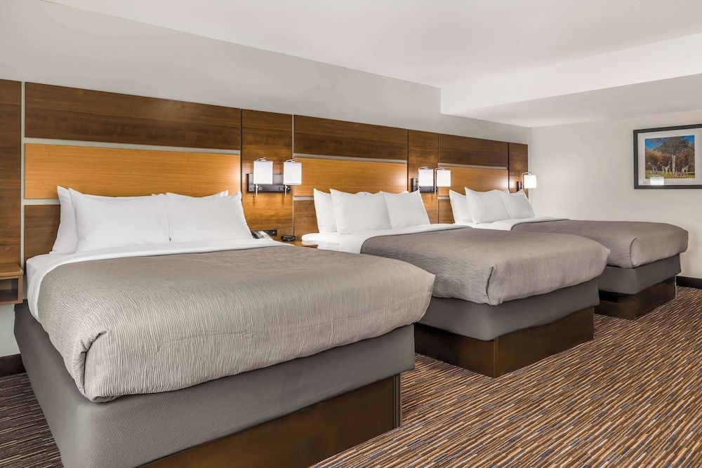 Suite, Multiple Beds, Accessible, Non Smoking