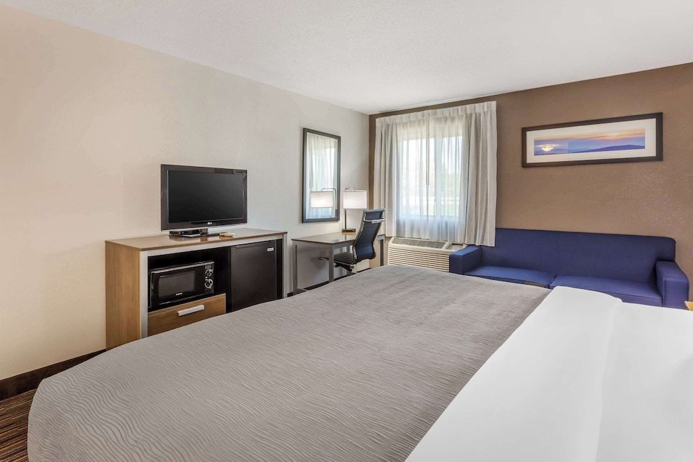 Room, 1 King Bed with Sofa bed, Non Smoking