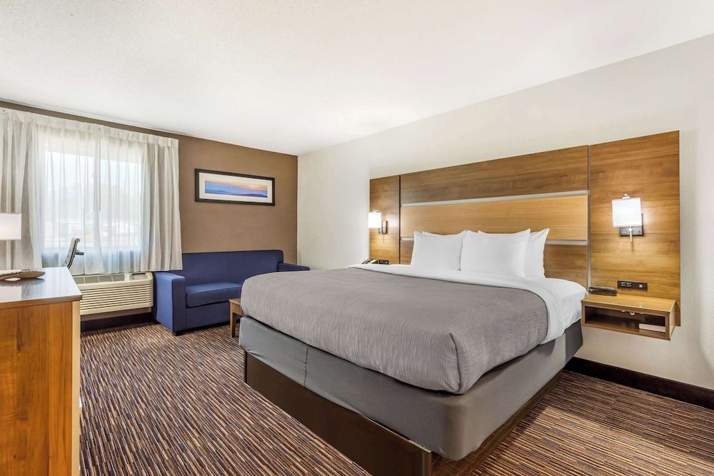 Room, 1 King Bed with Sofa bed, Non Smoking