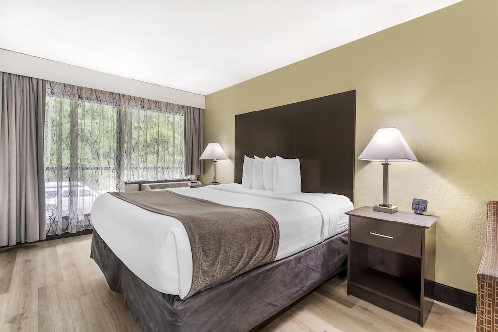 Standard Room, 1 King Bed, Non Smoking, Refrigerator & Microwave (with Sofabed)