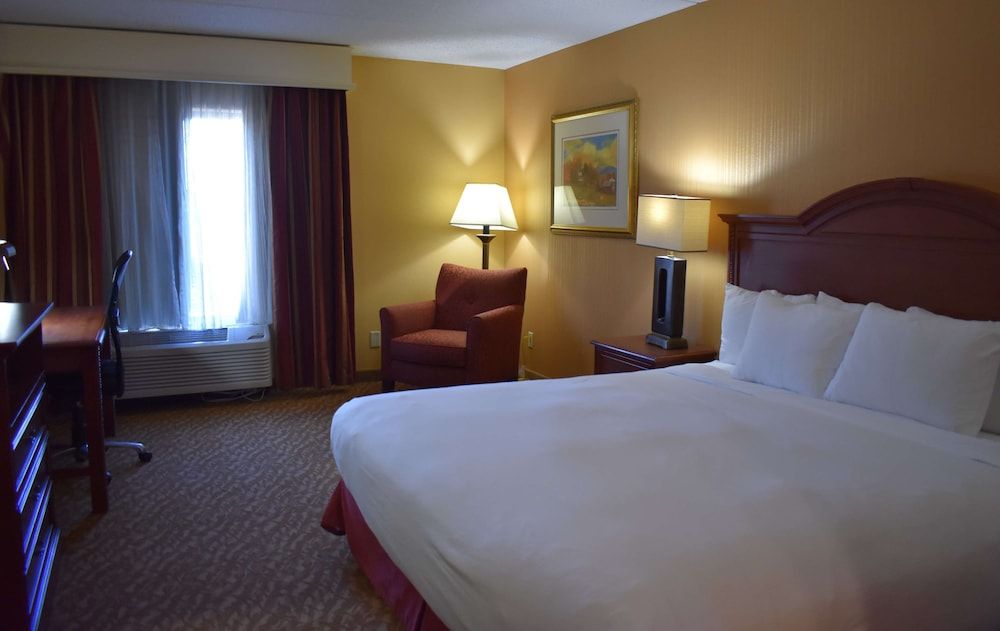 Suite One King Bed