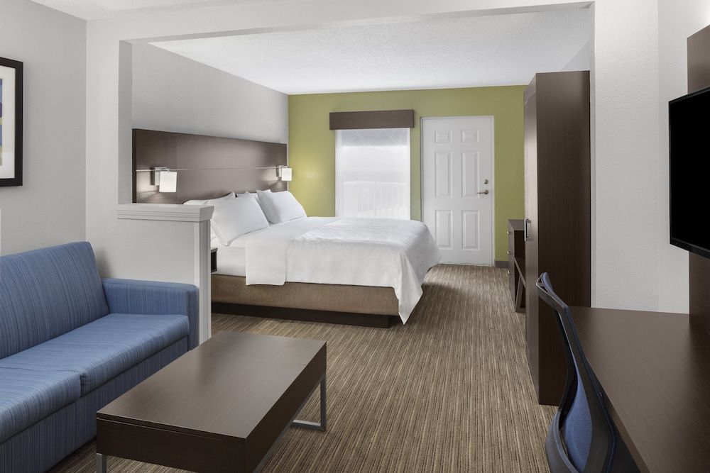 Suite, 1 King Bed with Sofa bed