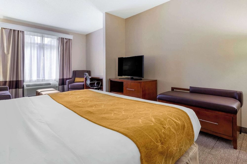 Suite, 1 King Bed with Sofa bed