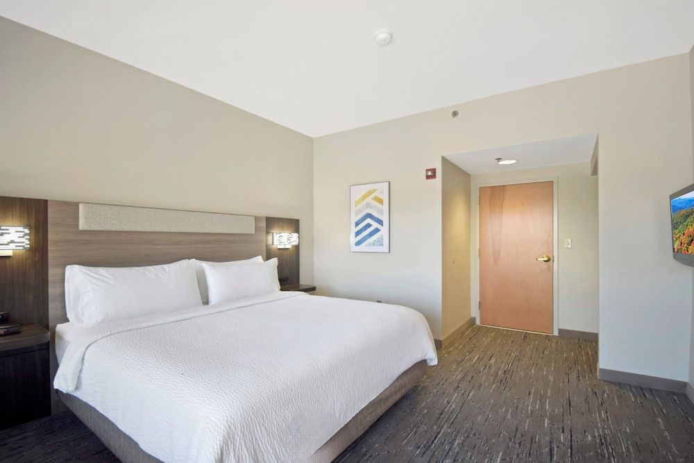 Standard Room, 1 King Bed, Accessible (Mobility, Roll-In Shower)