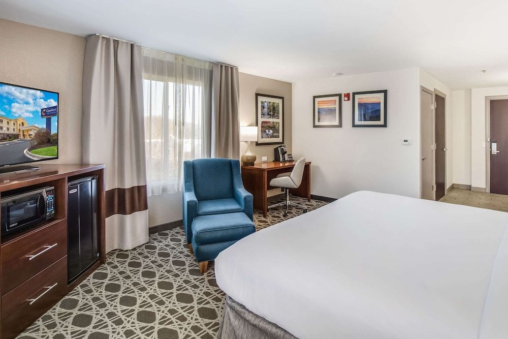 Room, 1 King Bed, Accessible, Non Smoking (Roll-In Shower)