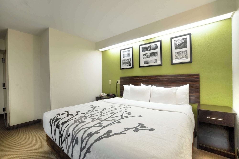Standard Room, 1 King Bed, Non Smoking
