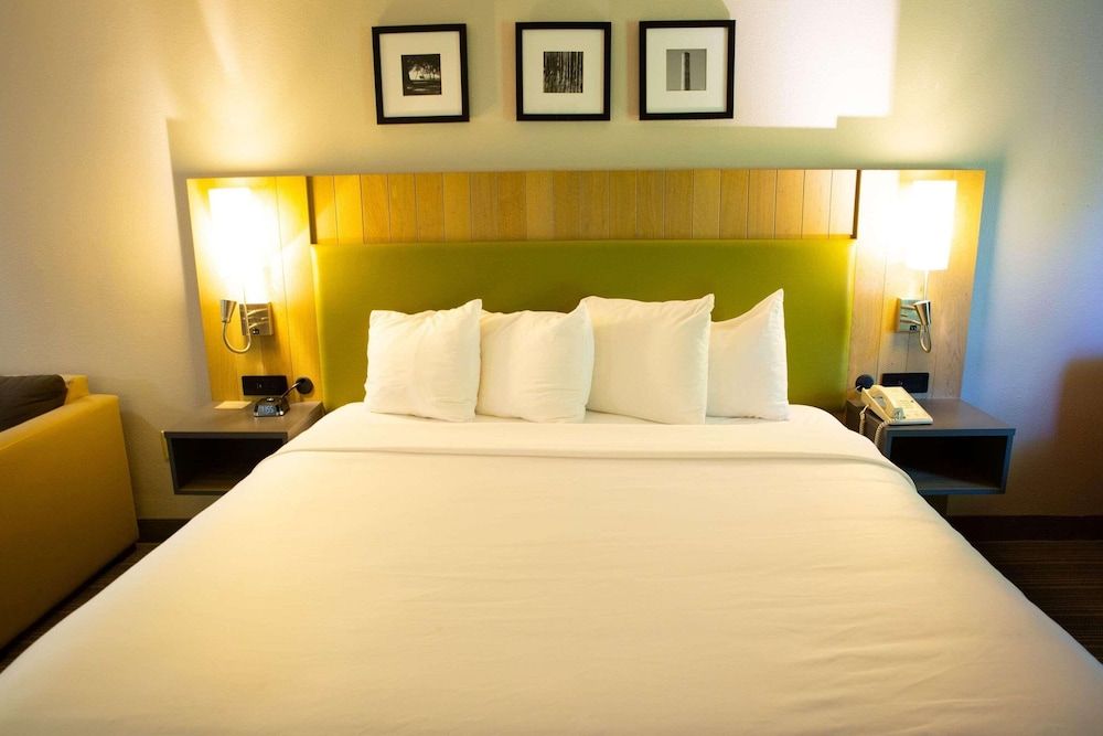 Room, 1 King Bed, Non Smoking