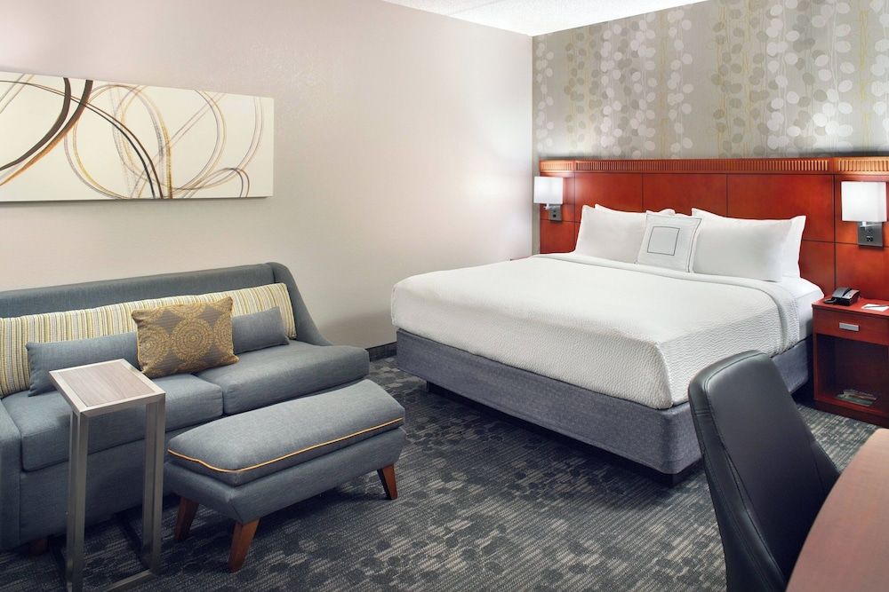 Room, 1 King Bed with Sofa bed