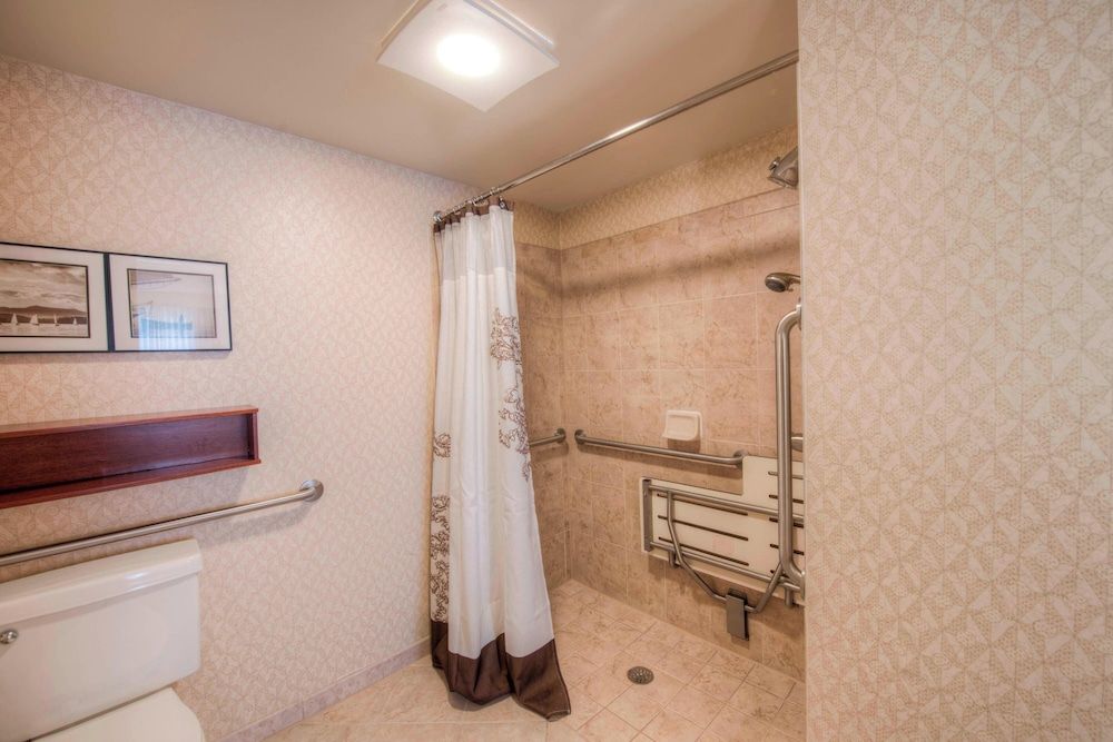 Studio, 1 King Bed with Sofa bed, Non Smoking (Mobility/Hearing Access, Roll-In Shwr)