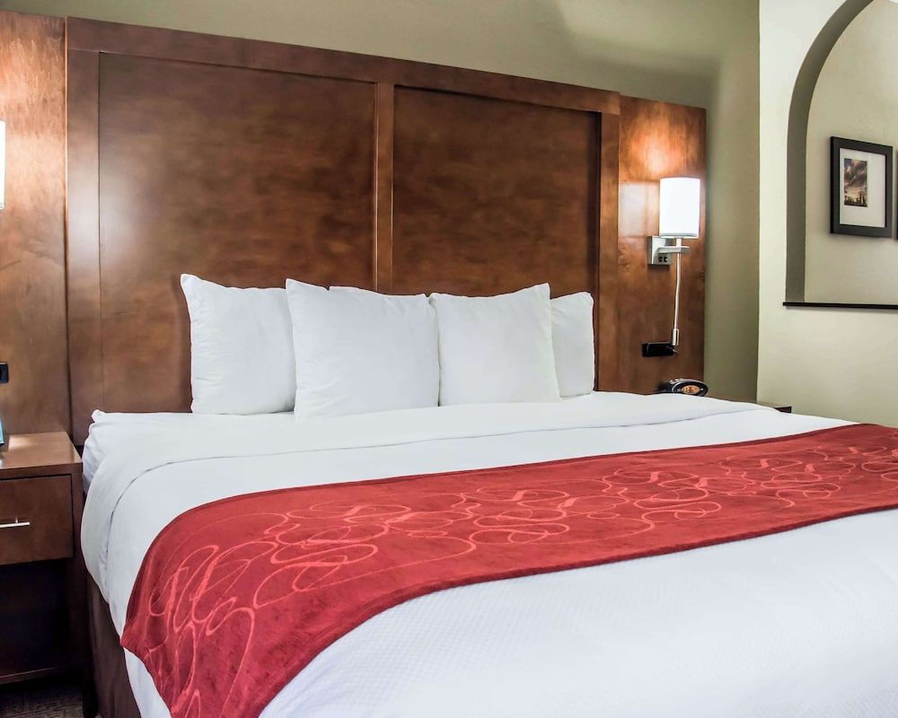 Handicap Accessible Suite, 1 King Bed, Non Smoking
