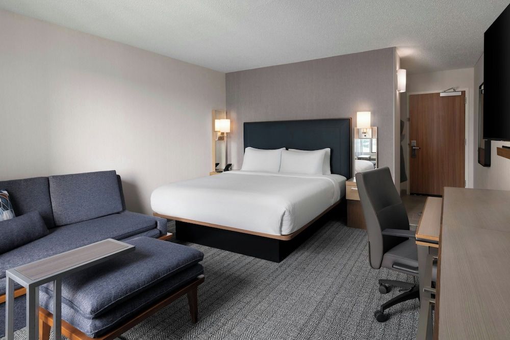 Room, 1 King Bed with Sofa bed (Mobility/Hearing Accessible, Tub)