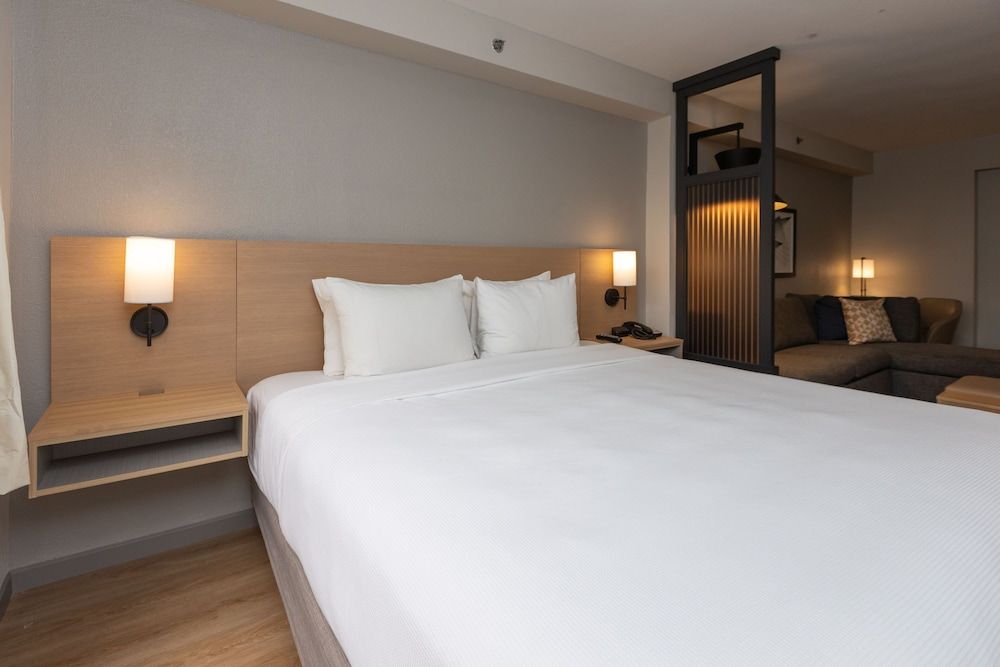 Room, 1 King Bed, Bathtub