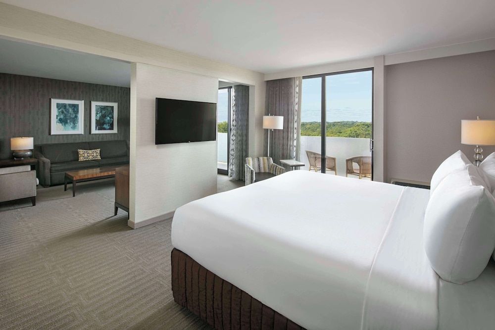 Suite, 1 King Bed with Sofa bed