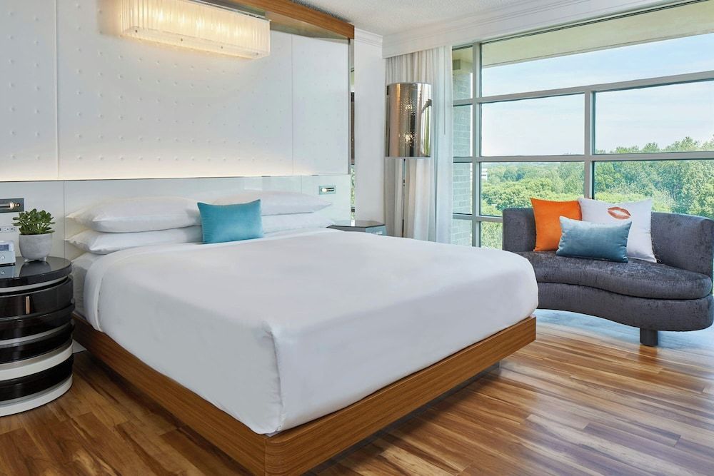Room, 1 King Bed