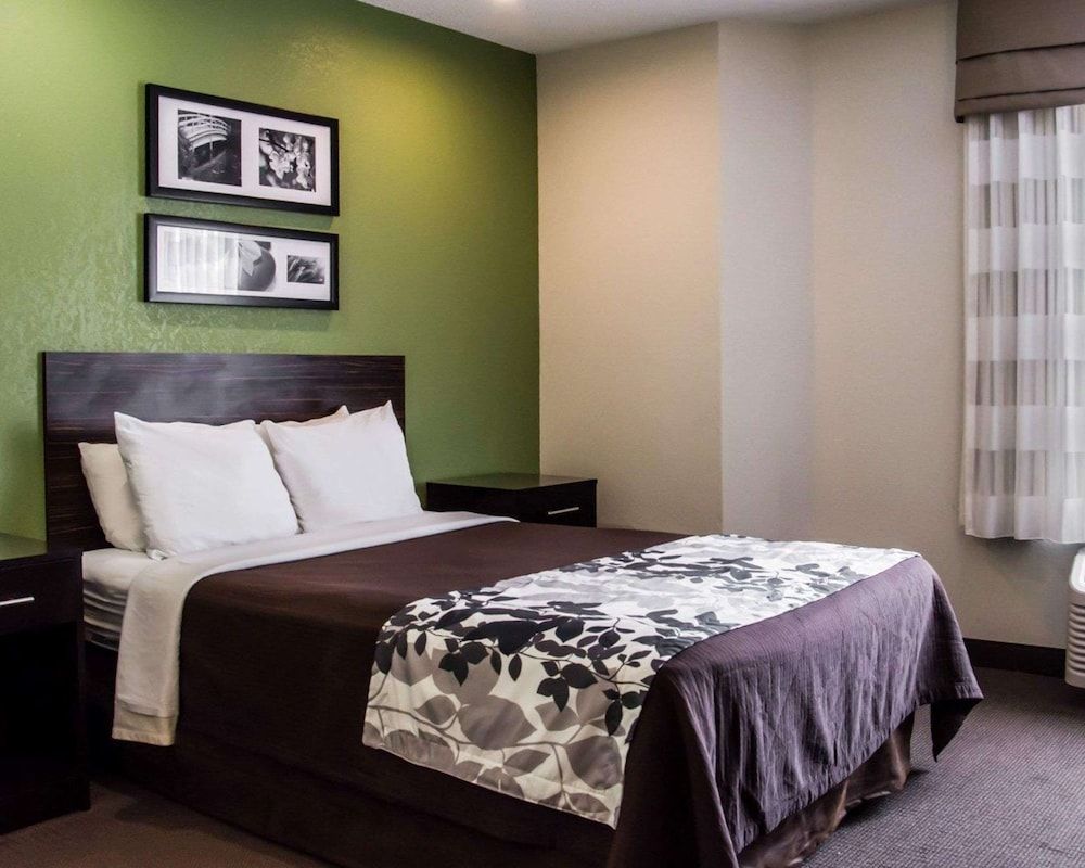 Room, 1 Queen Bed, Non Smoking