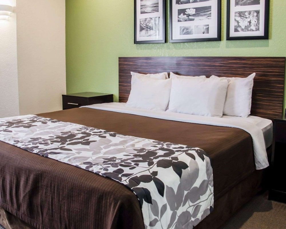 Standard Room, 1 King Bed, Non Smoking