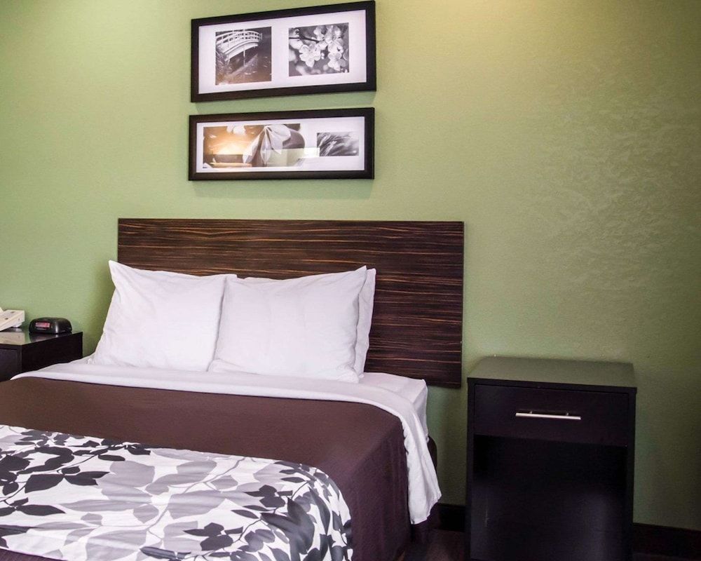 Room, 1 Queen Bed, Non Smoking