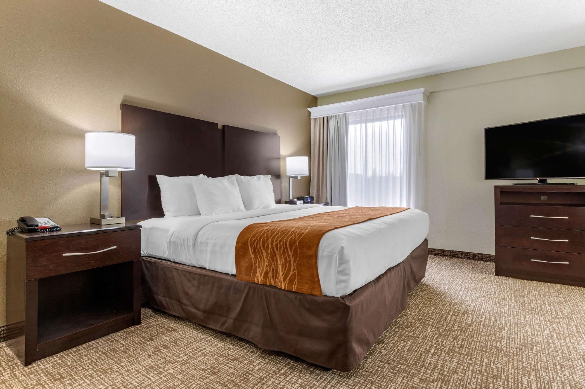 1 King Bed, Suite, Nonsmoking
