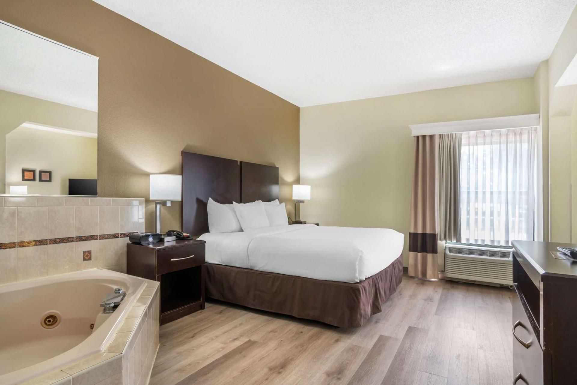 1 King Bed, Non-Smoking