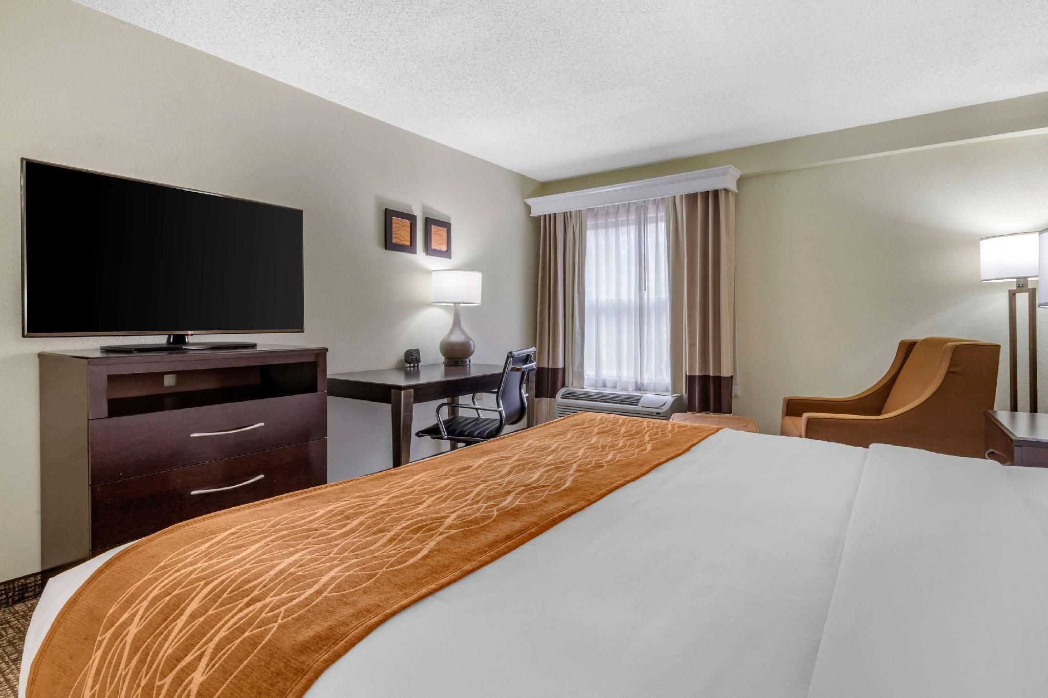 1 King Bed, Nonsmoking, Accessible