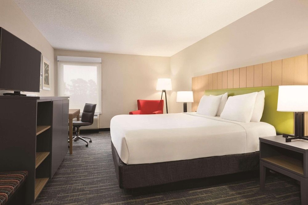 Room, 1 King Bed, Non Smoking
