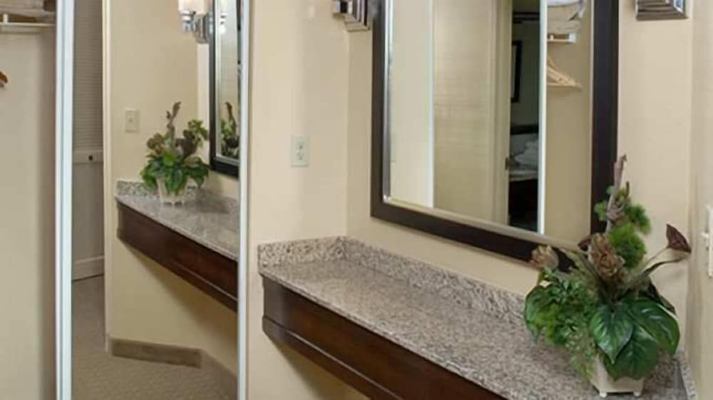 undefined DoubleTree Suites by Hilton Raleigh - Durham 10