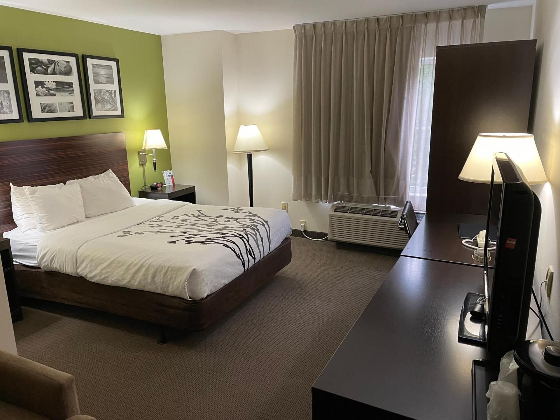 1 Queen Bed, Nonsmoking, Accessible