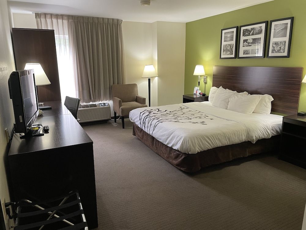 Standard Room, 1 King Bed, Non Smoking