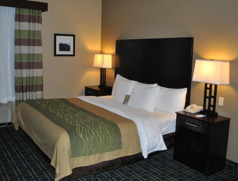 Standard Room, 1 King Bed, Non Smoking