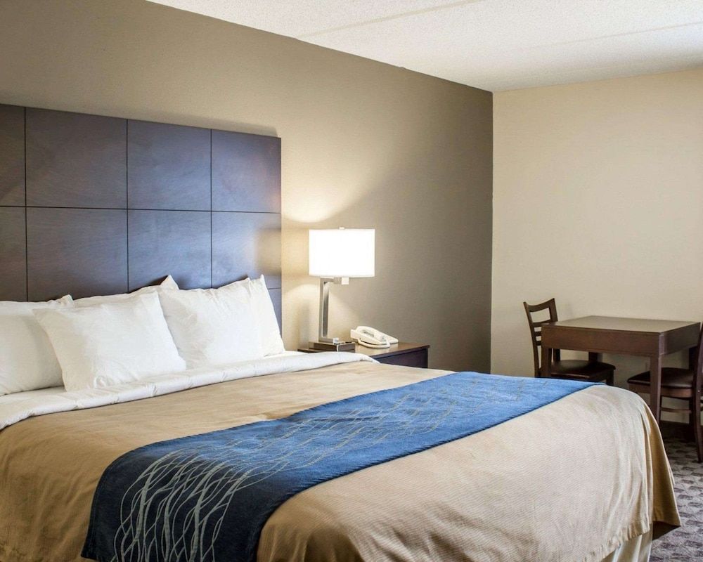 Room, 1 King Bed