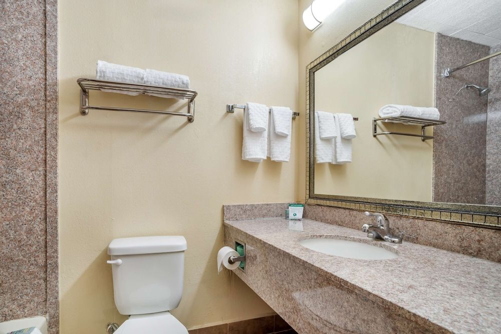 Best Western Gastonia Standard Room, 1 King Bed, Non Smoking, Refrigerator & Microwave 5